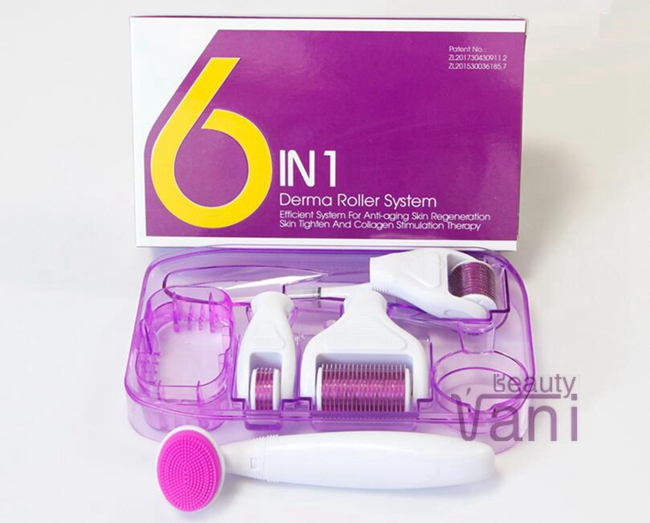 6 in 1 Derma Roller Kit Micro Needle Facial Skin with Cleansing Brush, 